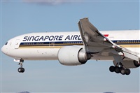 Miguel Alia - Noisy Spotters. Click to see full size photo