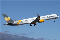 ©Alfonso Solís - Asociación Canary Islands Spotting. Click to see full size photo ©Alfonso Solís - Asociación Canary Islands Spotting. Click to see full size photo