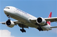 Miguel Alia - Noisy Spotters. Click to see full size photo