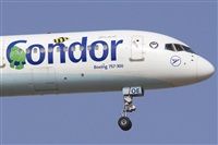 Saimon J Rodriguez   -   Canary Islands Spotting. Click to see full size photo