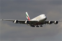Rubn Gil - Noisy Spotters. Click to see full size photo