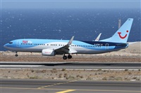 ©Alfonso Solís - Asociación Canary Islands Spotting. Click to see full size photo ©Alfonso Solís - Asociación Canary Islands Spotting. Click to see full size photo