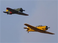 kike.s.h.9. Click to see full size photo