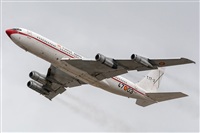 ©Adolfo Bento - Gran Canaria Spotters. Click to see full size photo ©Adolfo Bento - Gran Canaria Spotters. Click to see full size photo
