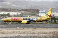 ©Nacho Rodriguez - Canary Islands Spotting. Click to see full size photo ©Nacho Rodriguez - Canary Islands Spotting. Click to see full size photo