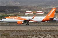 Alfonso Sols - Asociacin Canary Islands Spotting. Click to see full size photo