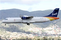 ©Alfonso Solís - Asociación Canary Islands Spotting. Click to see full size photo ©Alfonso Solís - Asociación Canary Islands Spotting. Click to see full size photo