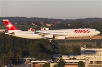 Rubn Gil - Noisy Spotters. Click to see full size photo