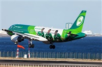 Florencio Martn Melin - Lanzarote Spotters. Haz click para ampliar