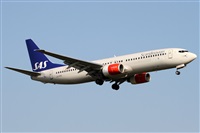 Alfonso Sols - Asociacin Canary Islands Spotting. Haz click para ampliar