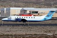 ©Alfonso Solís - Asociación Canary Islands Spotting. Click to see full size photo ©Alfonso Solís - Asociación Canary Islands Spotting. Click to see full size photo