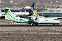 Alfonso Sols - Asociacin Canary Islands Spotting. Click to see full size photo