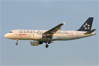 Miguel A. gueda Rguez.  (CANARY ISLANDS SPOTTING). Click to see full size photo