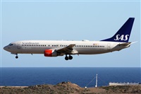 Alfonso Sols - Asociacin Canary Islands Spotting. Haz click para ampliar