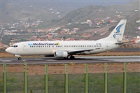 Miguel A. gueda Rguez.  (CANARY ISLANDS SPOTTING). Click to see full size photo