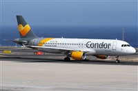 Alfonso Sols - Asociacin Canary Islands Spotting. Click to see full size photo