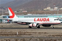 ©Alfonso Solís - Asociación Canary Islands Spotting. Click to see full size photo ©Alfonso Solís - Asociación Canary Islands Spotting. Click to see full size photo