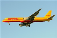 Miguel A. gueda Rguez.  (CANARY ISLANDS SPOTTING). Click to see full size photo