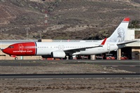 ©Alfonso Solís - Asociación Canary Islands Spotting. Click to see full size photo ©Alfonso Solís - Asociación Canary Islands Spotting. Click to see full size photo