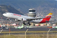 Miguel A. gueda Rguez.  (CANARY ISLANDS SPOTTING). Click to see full size photo