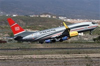 ©Alfonso Solís - Asociación Canary Islands Spotting. Click to see full size photo ©Alfonso Solís - Asociación Canary Islands Spotting. Click to see full size photo