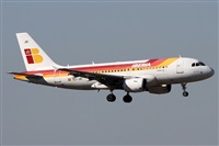 ©Alfonso Solís - Asociación Canary Islands Spotting. Click to see full size photo ©Alfonso Solís - Asociación Canary Islands Spotting. Click to see full size photo