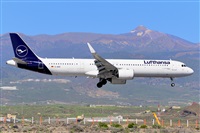 Miguel A. gueda Rguez.  (CANARY ISLANDS SPOTTING). Click to see full size photo