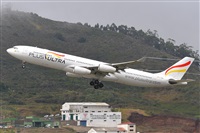 Miguel A. gueda Rguez.  (CANARY ISLANDS SPOTTING). Click to see full size photo