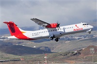 Miguel A. gueda Rguez.  (CANARY ISLANDS SPOTTING). Haz click para ampliar