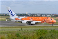 Miguel A. gueda Rguez.  (CANARY ISLANDS SPOTTING). Haz click para ampliar