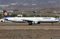 Alfonso Sols - Asociacin Canary Islands Spotting. Haz click para ampliar
