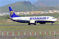 Miguel A. gueda Rguez.  (CANARY ISLANDS SPOTTING). Click to see full size photo
