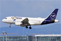 Miguel A. gueda Rguez.  (CANARY ISLANDS SPOTTING). Click to see full size photo
