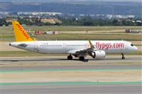 Miguel A. gueda Rguez.  (CANARY ISLANDS SPOTTING). Haz click para ampliar