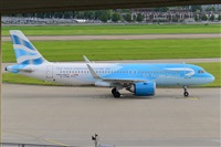 Miguel A. gueda Rguez.  (CANARY ISLANDS SPOTTING). Click to see full size photo