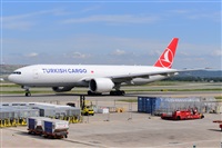 Miguel A. gueda Rguez.  (CANARY ISLANDS SPOTTING). Click to see full size photo
