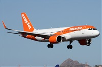 Alfonso Sols - Asociacin Canary Islands Spotting. Click to see full size photo