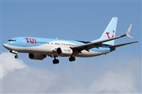 Alfonso Sols - Asociacin Canary Islands Spotting. Click to see full size photo