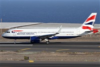 ©Alfonso Solís - Asociación Canary Islands Spotting. Click to see full size photo ©Alfonso Solís - Asociación Canary Islands Spotting. Click to see full size photo