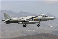 ©Manuel Acosta Zapata LMDT Spotters. Click to see full size photo ©Manuel Acosta Zapata LMDT Spotters. Click to see full size photo