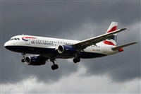 Alfonso Sols - Asociacin Canary Islands Spotting. Click to see full size photo