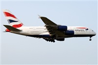 ©Alfonso Solís - Asociación Canary Islands Spotting. Click to see full size photo ©Alfonso Solís - Asociación Canary Islands Spotting. Click to see full size photo