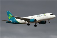 �Alfonso Sol�s - Asociaci�n Canary Islands Spotting. Click to see full size photo