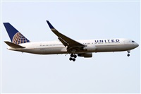 �Alfonso Sol�s - Asociaci�n Canary Islands Spotting. Click to see full size photo