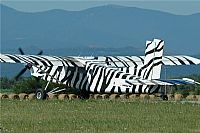 scar Laborda Snchez - IBERIAN SPOTTERS. Click to see full size photo