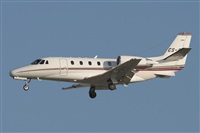 Jos Miguel Bernases - Noisy Spotters. Click to see full size photo