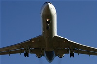Jos Miguel Bernases - Noisy Spotters. Click to see full size photo