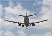 Luciano de la Rosa Gutirrez (Tenerife) Canary Islands Spotting. Click to see full size photo