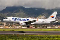 Javier de la Cruz - CANARY ISLANDS SPOTTING. Click to see full size photo