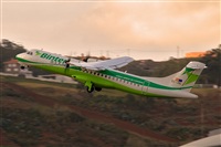 Javier de la Cruz - CANARY ISLANDS SPOTTING. Haz click para ampliar